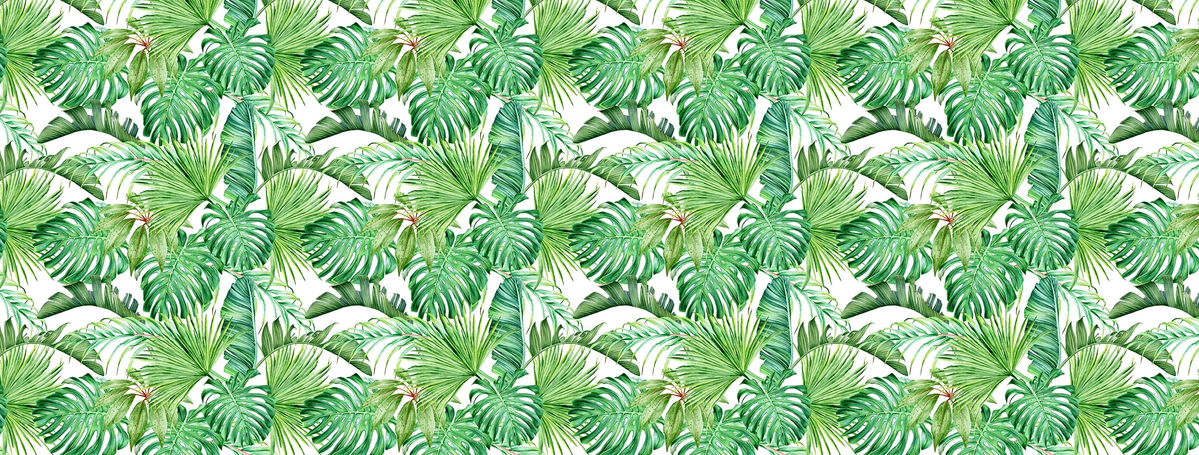 Palm leaf and monstera wallpaper