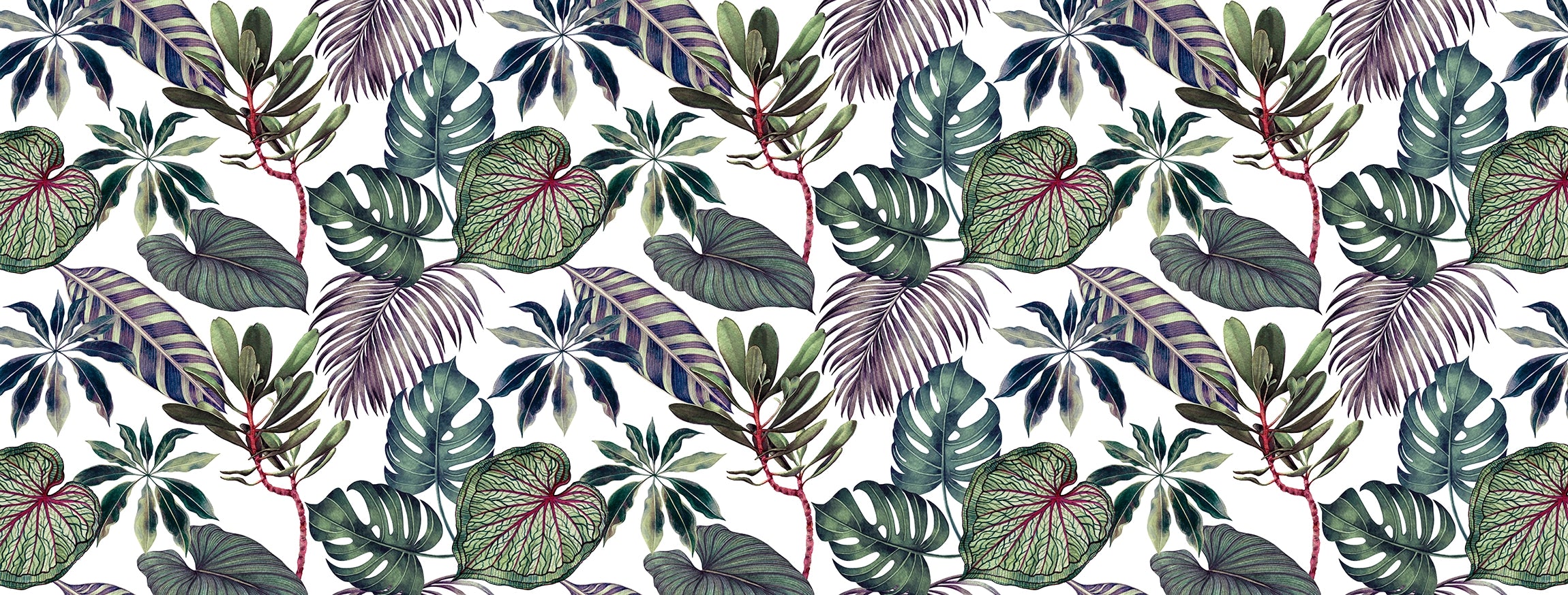 Tropical leaf wallpaper