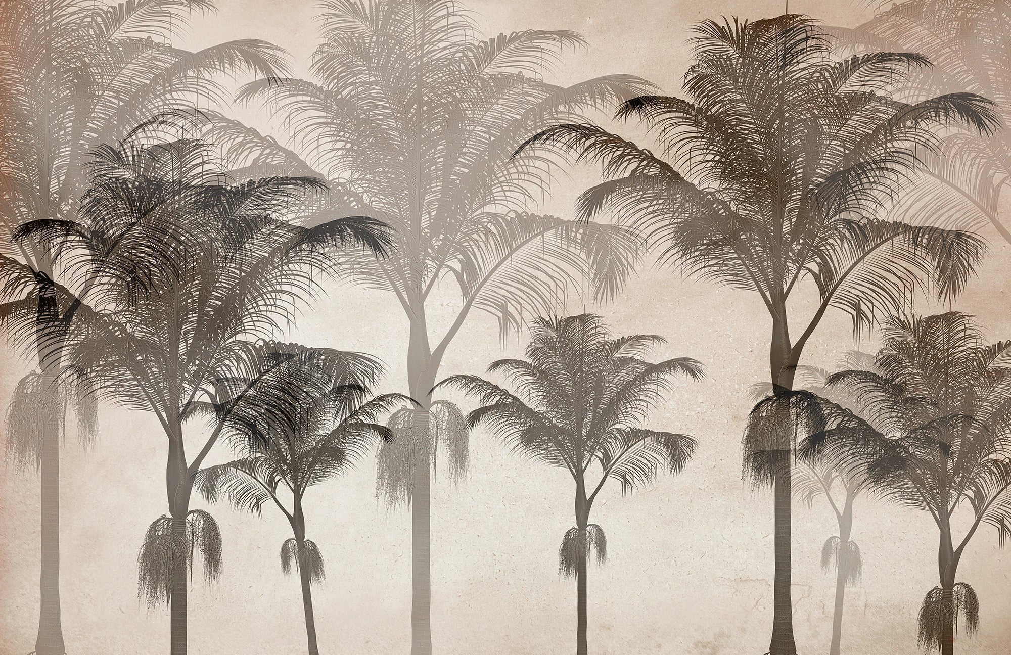 Monochrome Palm Tree Panoramic Wallpaper