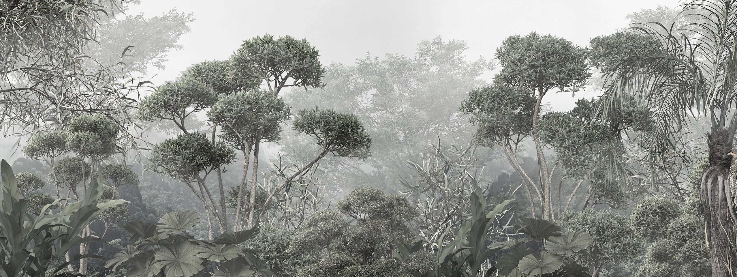 Maßgeschneiderte Panorama-Tapete mit dichtem Wald