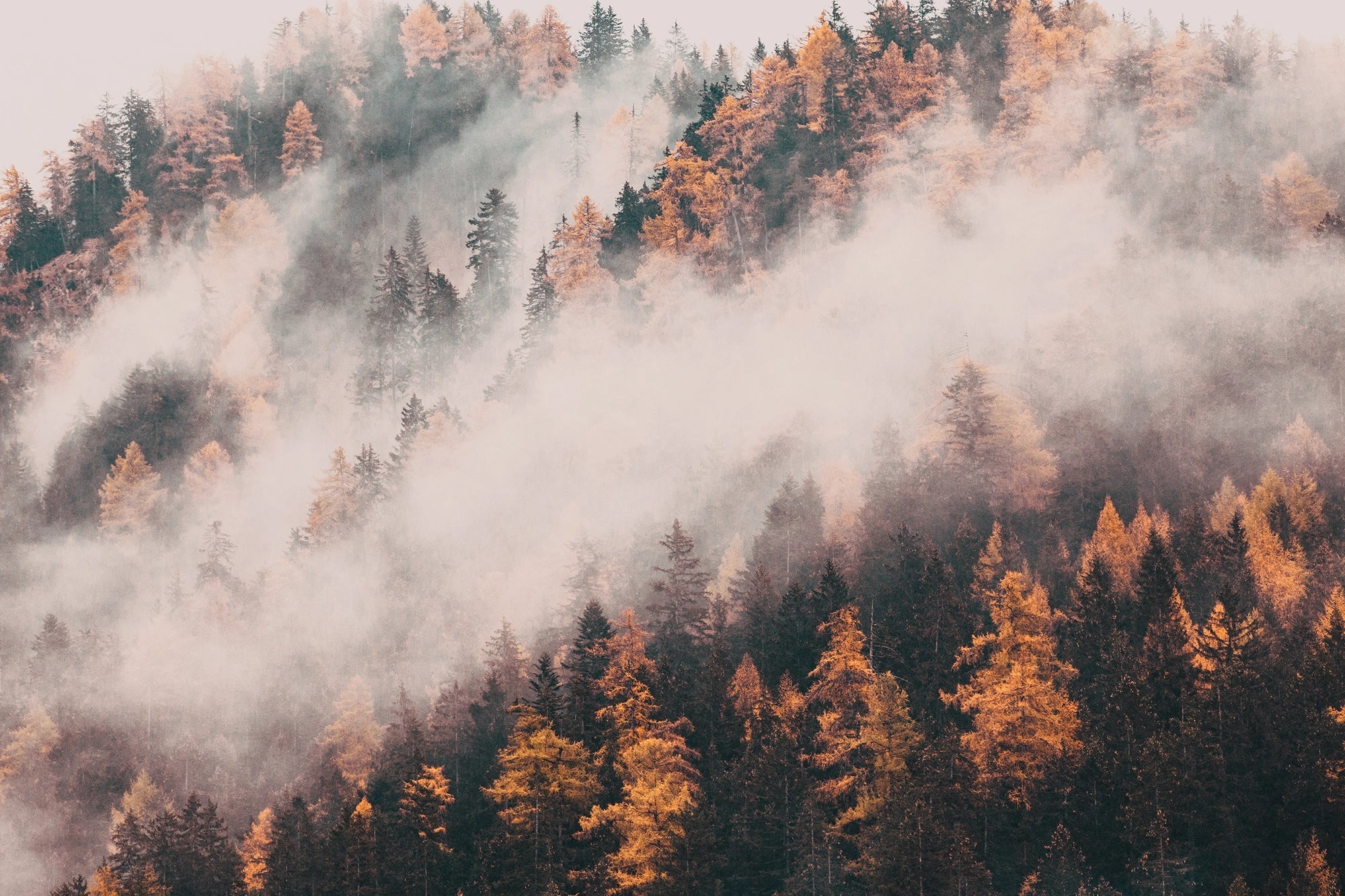 Papier peint montagne d'automne sous la brume - Kam et Léon