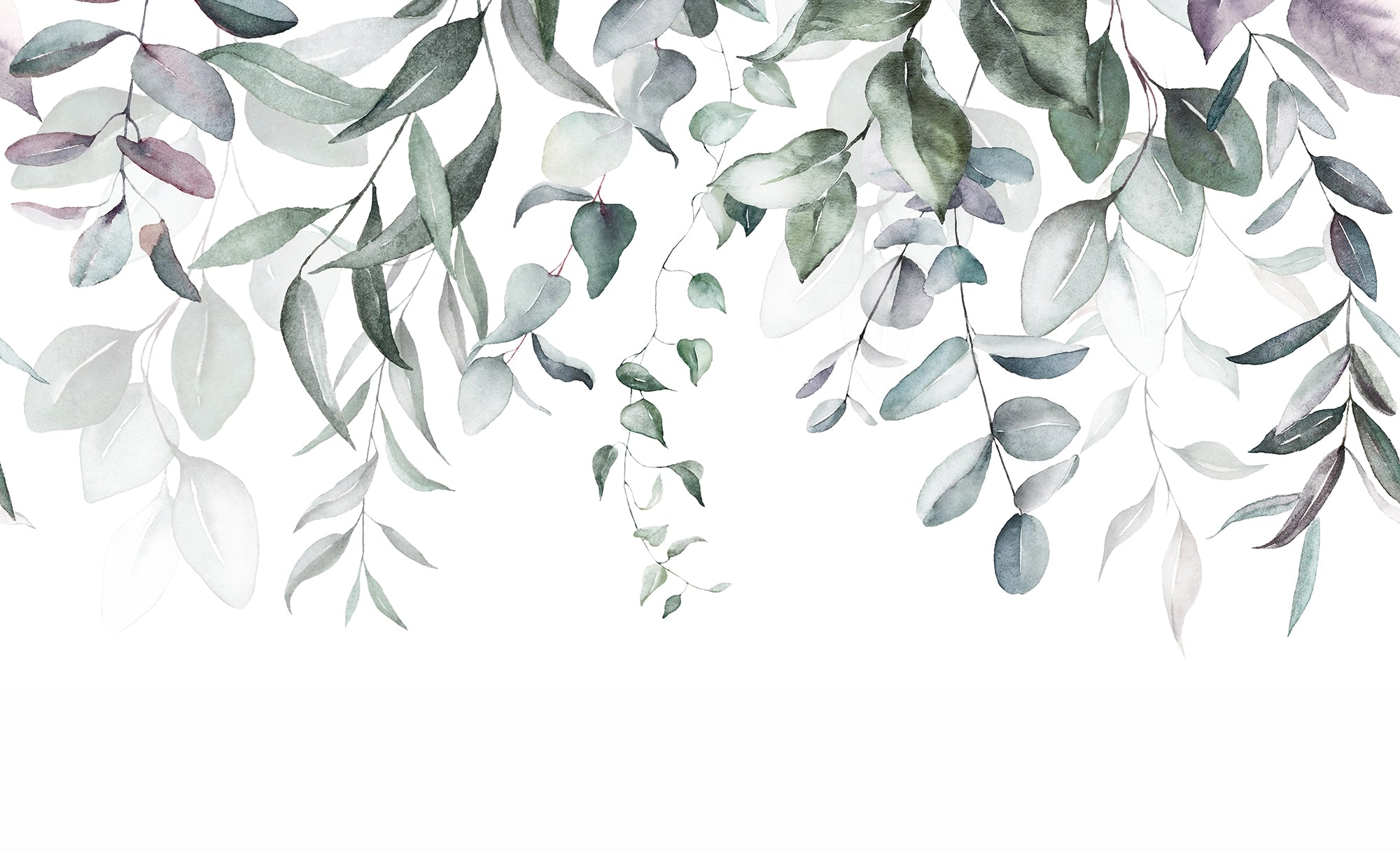 Watercolor eucalyptus panoramic wallpaper