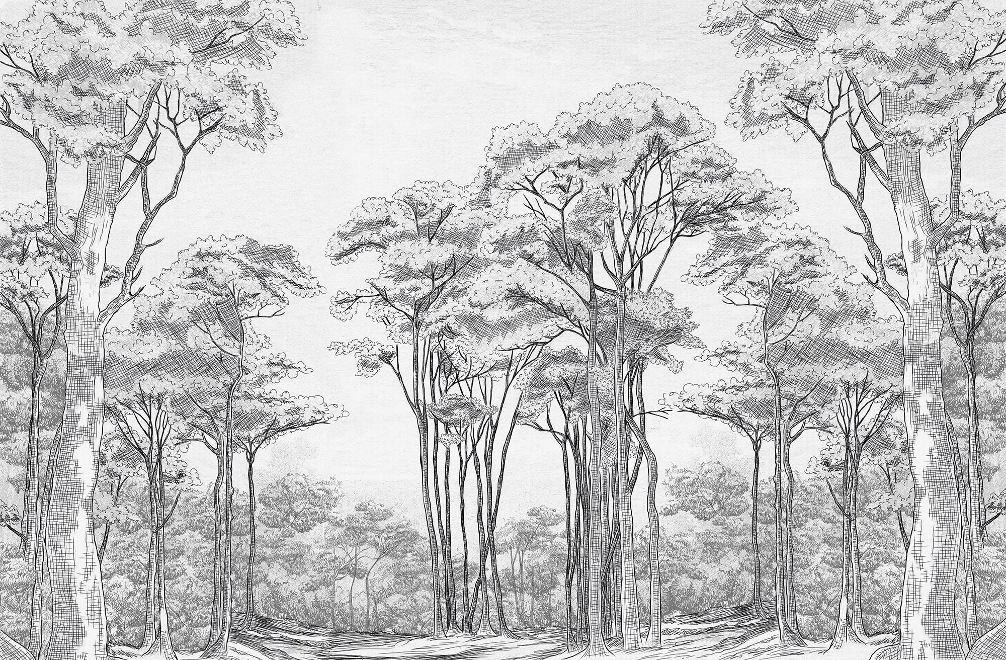 Pine Forest Panoramic Wallpaper