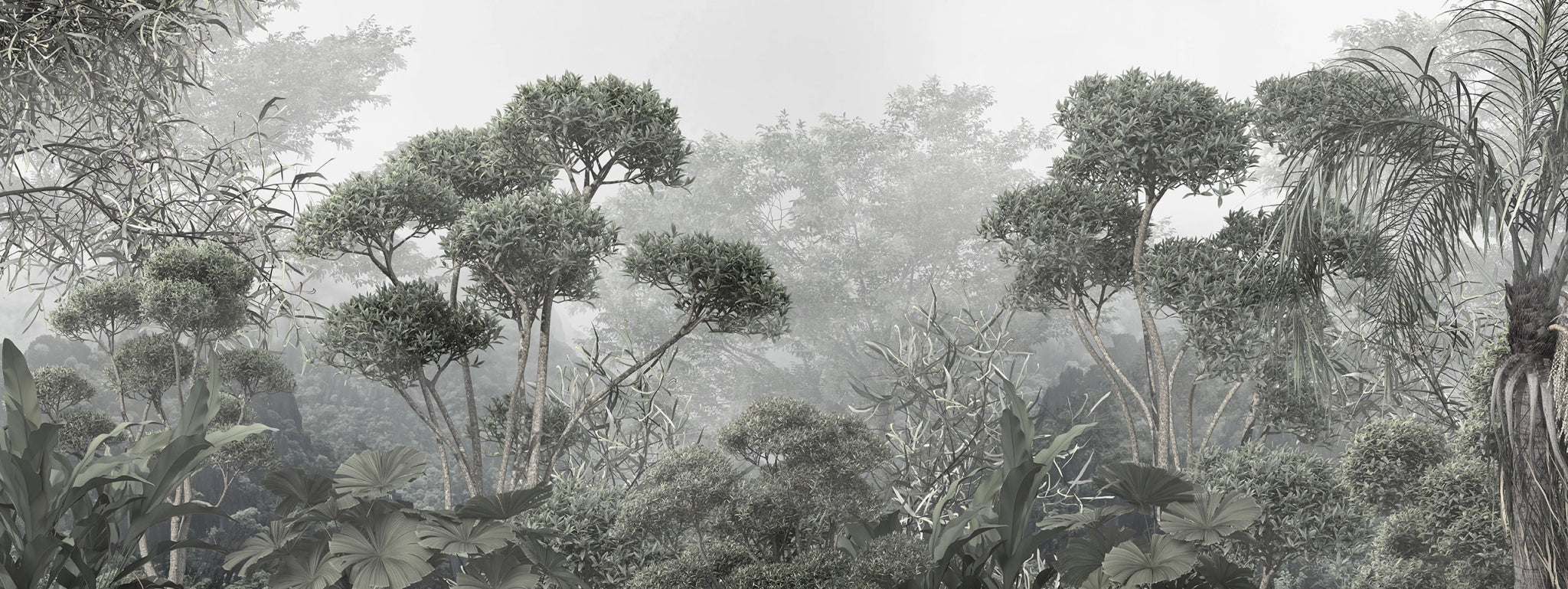 Papier peint panoramique sur mesure forêt dense - Kam et Léon